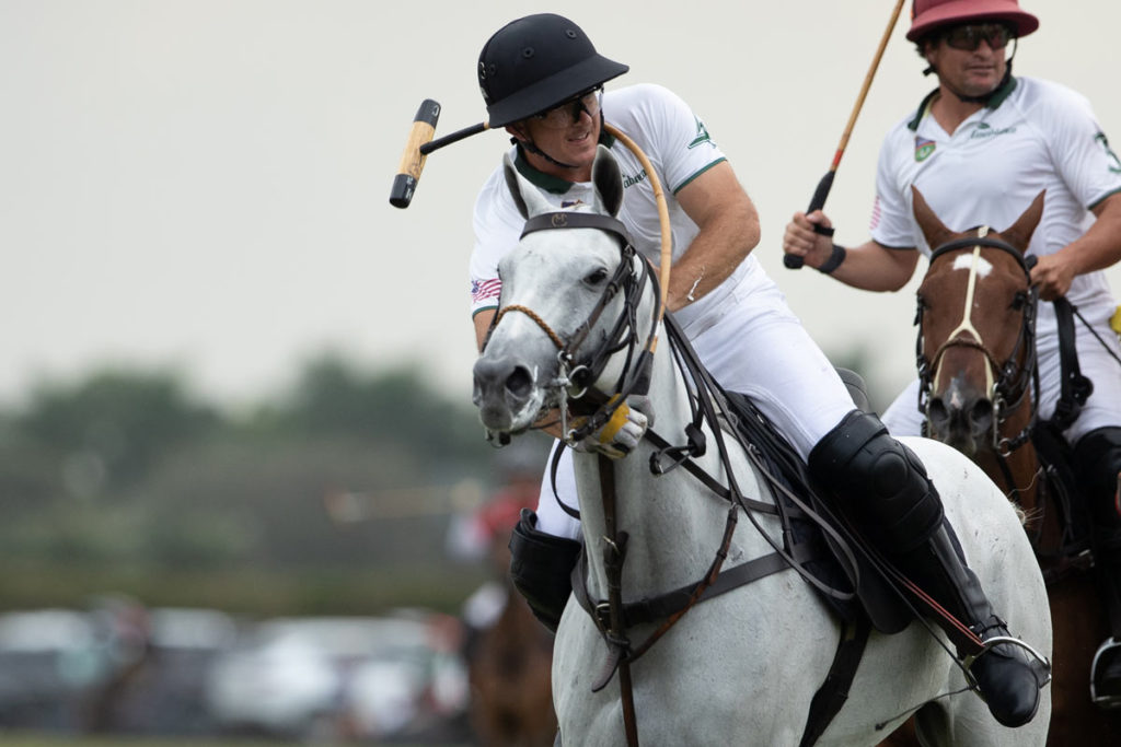 What makes a good polo pony