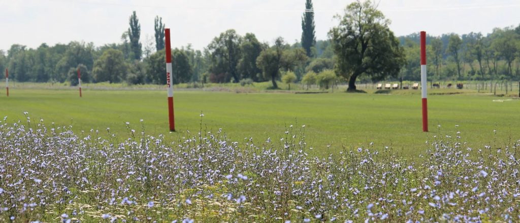 Hungary Polo Club